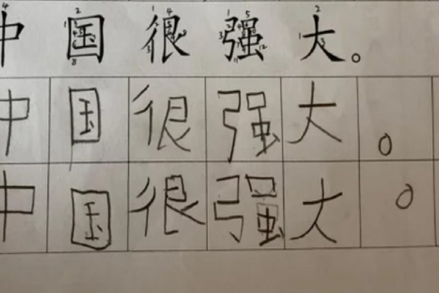 Kindergarten child made to write about China